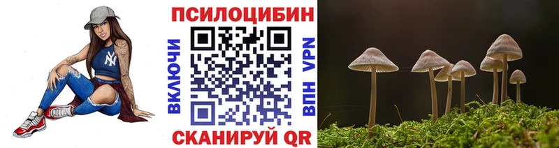 Псилоцибиновые грибы Cubensis  это клад  Хадыженск  что такое  